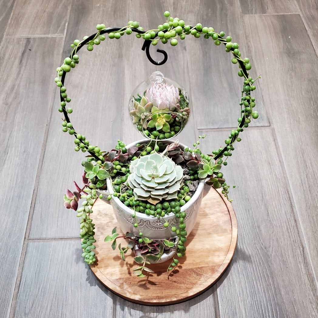 Hanging Terrarium Heart Trellis Arrangement Kit